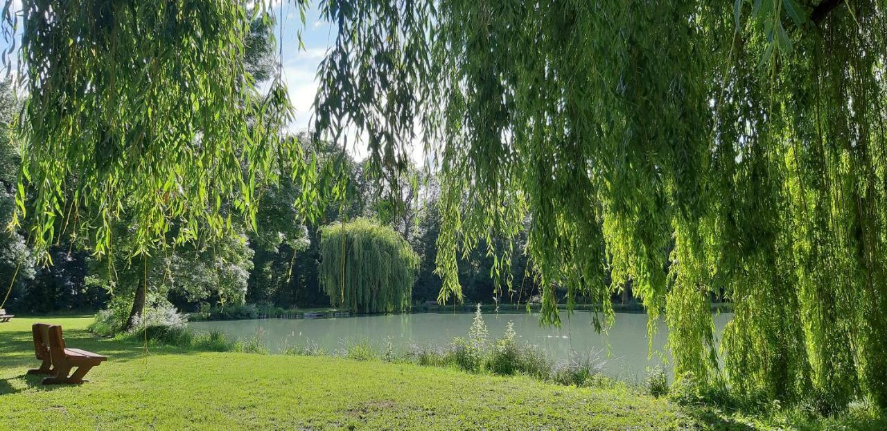 Le Gite De L'Atelier Lailly-en-Val Exteriör bild
